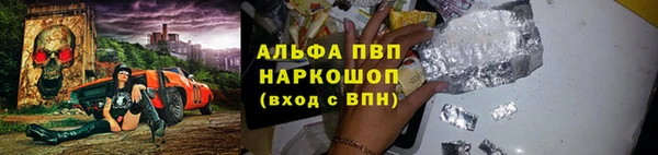 ПСИЛОЦИБИНОВЫЕ ГРИБЫ Вяземский