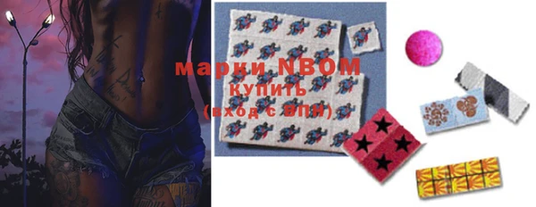 твердый Магас