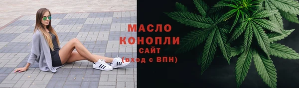 твердый Магас