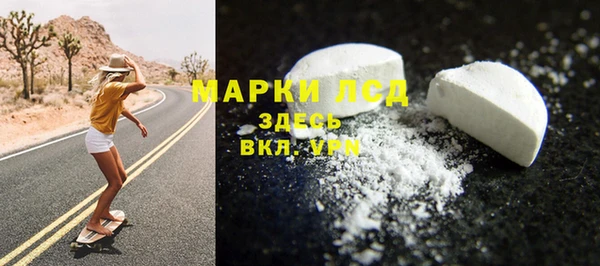 твердый Магас