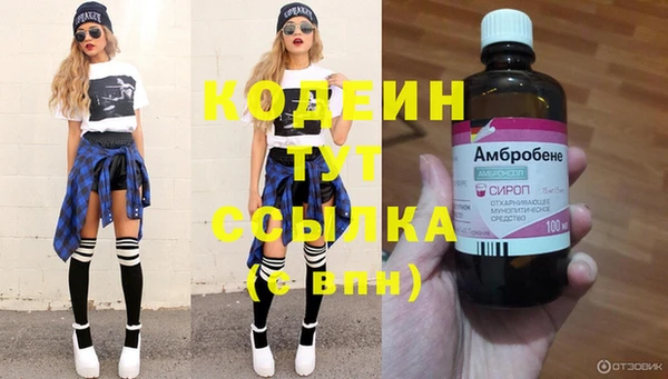 твердый Магас