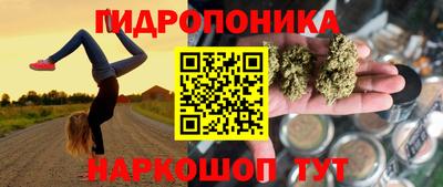 мет Дубна