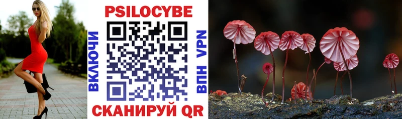 Галлюциногенные грибы Magic Shrooms Мурино