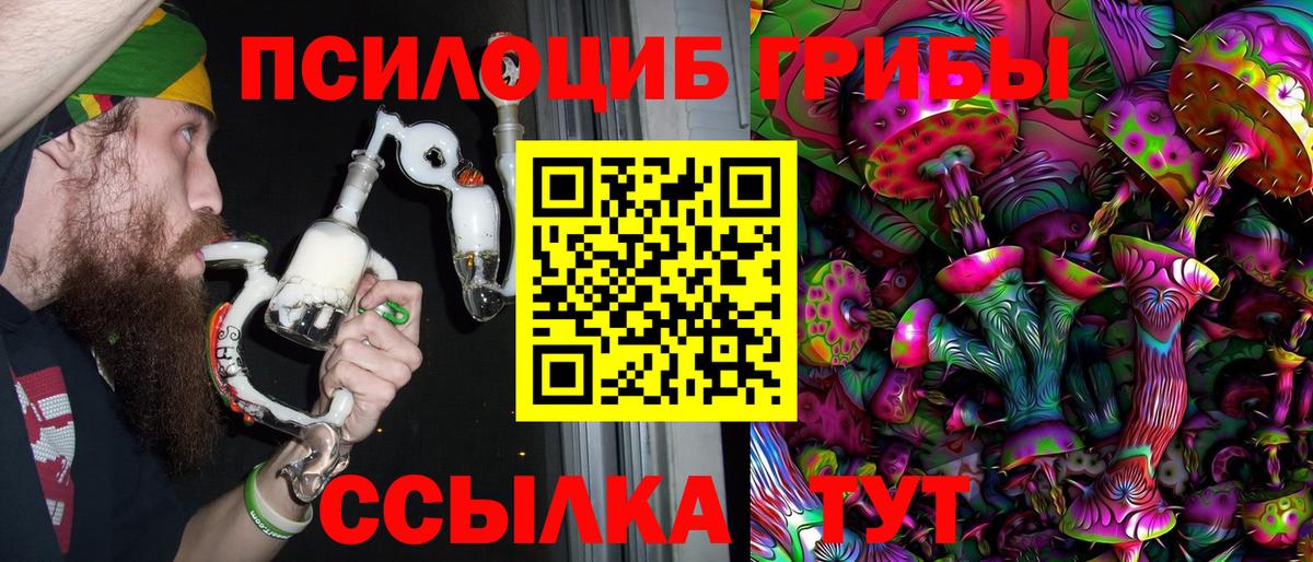 Псилоцибиновые грибы Psilocybine cubensis Мурино