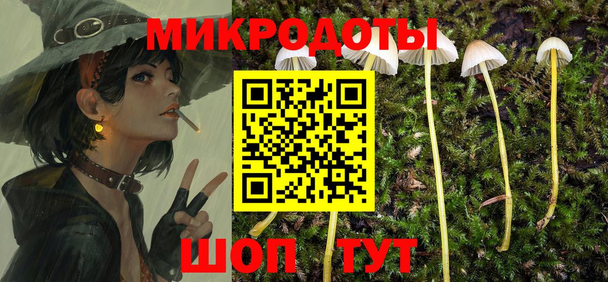 Галлюциногенные грибы мицелий  купить наркотик  Мурино  Вход с VPN 