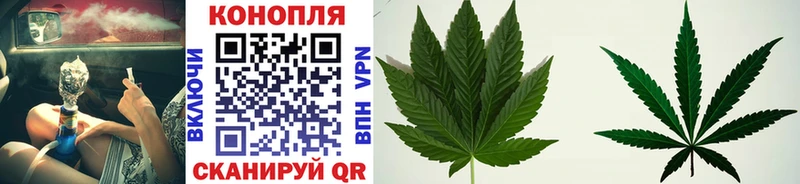 Конопля семена Мурино