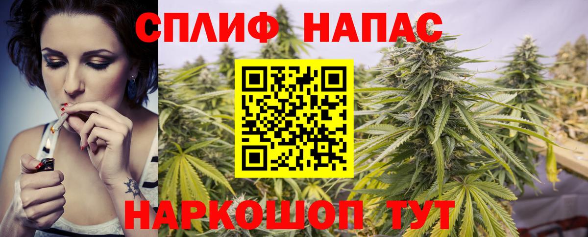 Каннабис гибрид  Каннабис MAZAR  Вход с VPN  Каннабис сатива  Мурино  Каннабис тримм 