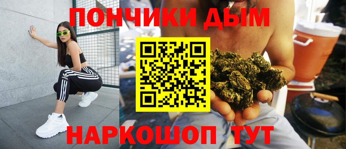 Каннабис индика Мурино